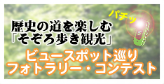 ���j�̓����y���ށu����������ό��v�r���[�X�|�b�g����t�H�g�����[�E�R���e�X�g