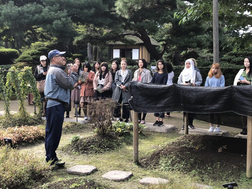 おたねにんじん圃場見学