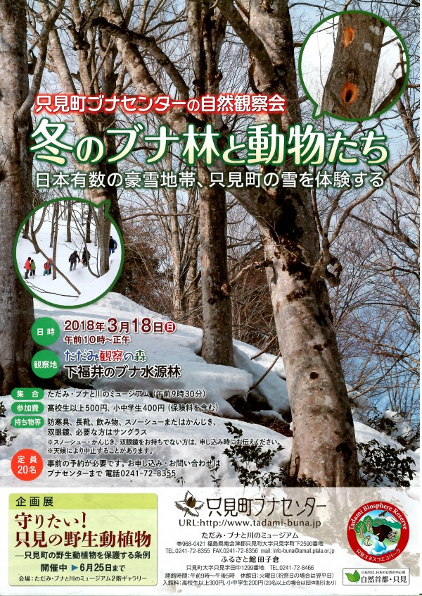 只見町ブナセンター