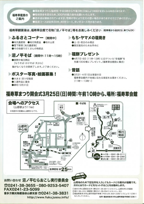 福寿草まつり