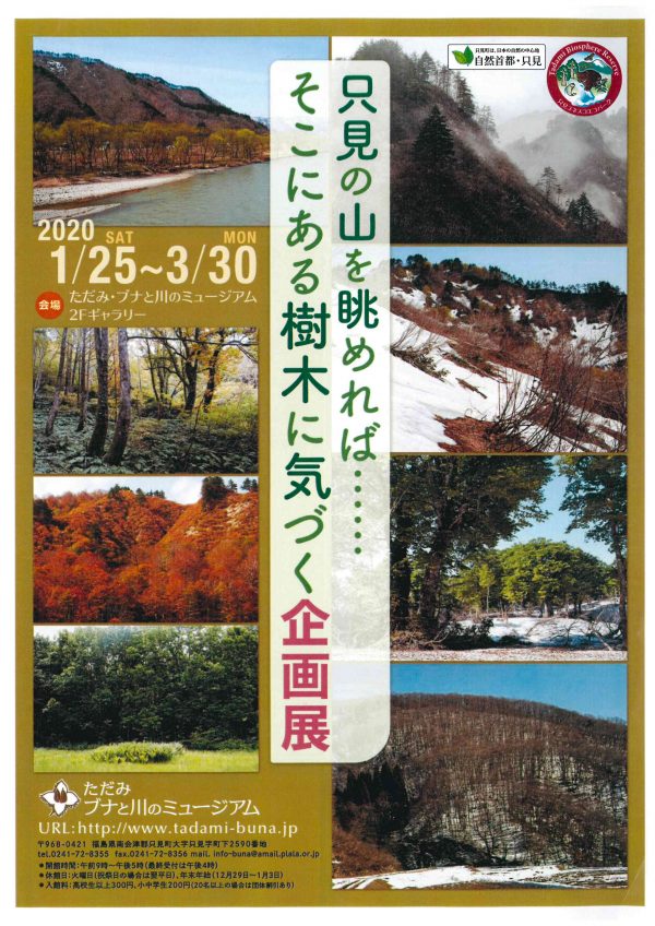 只見の山を眺めれば　チラシ