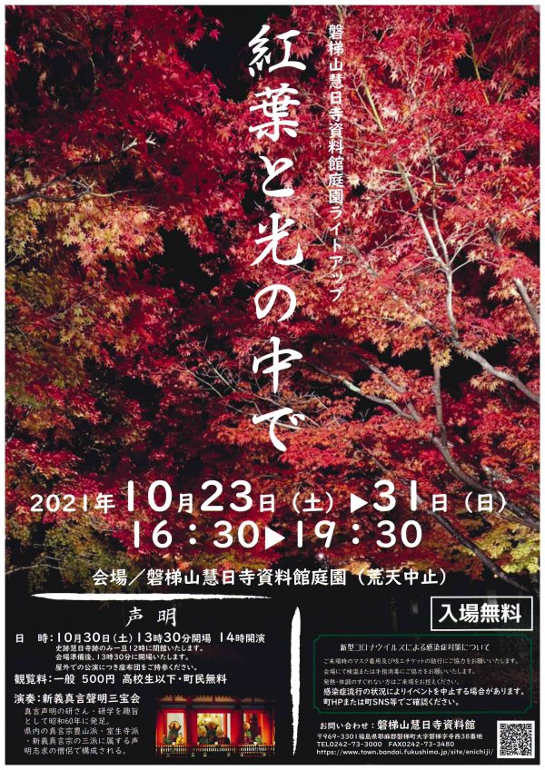 慧日寺資料館ライトアップ