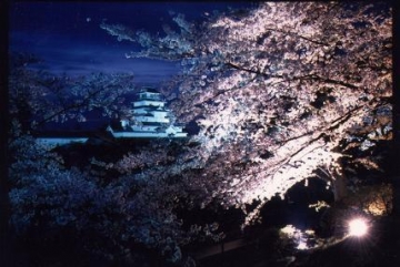 鶴ヶ城夜桜ライトアップ