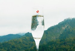 国産炭酸水