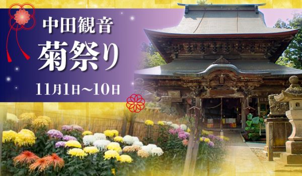 中田観音菊祭り（２）