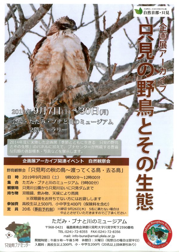 只見の野鳥とその生態
