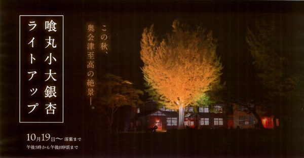 喰丸小大イチョウライトアップ