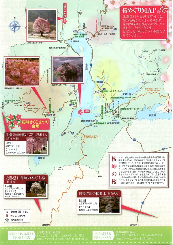 桜めぐりマップ